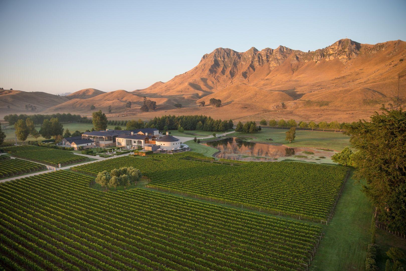 Winery in the Hawkes Bay region